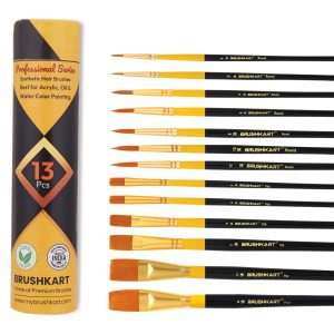 Professional series paint brush set of 13 pcs